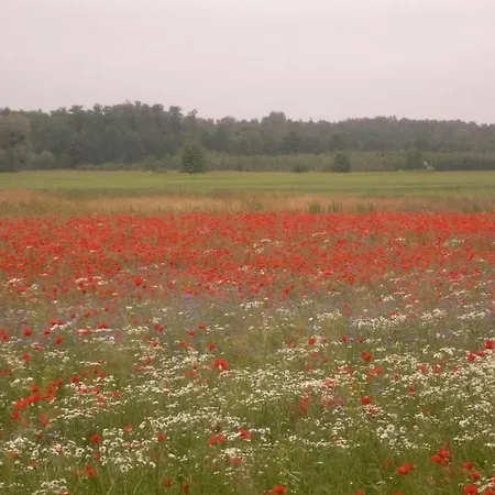 Hubert Haus By Interhome Holiday home Pieczarki