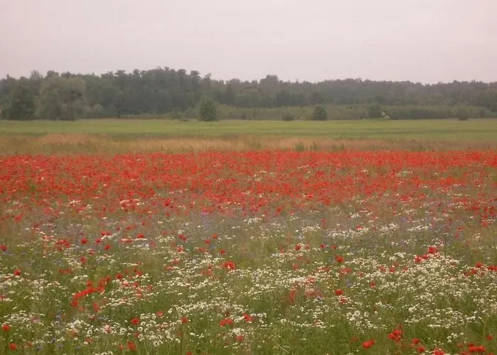 Hubert Haus By Interhome Holiday home Pieczarki